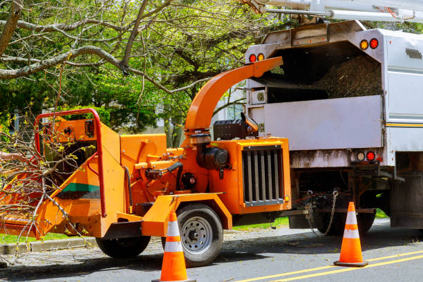 Best Leaf Removal  in Toledo, OH